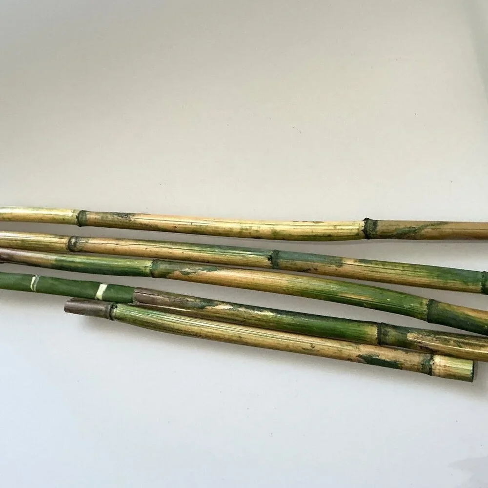 BAMBOO WITH DETACABLE POLES TALL CRAFT DIY BUNDLE ARTIFICAL (FLAWS)